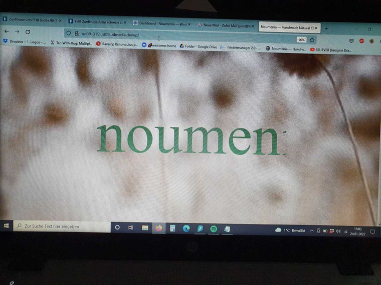 Screenshot-Noumenia-1.jpg