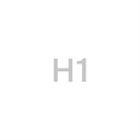 H1-StudioOffice