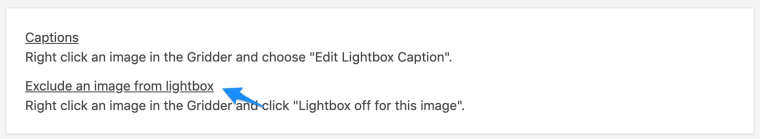 0_1557391766196_Lightbox_Addon_‹Moritz_Welker—_WordPress.jpg