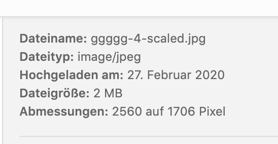 Screenshot 2020-02-27 at 15.06.17.png