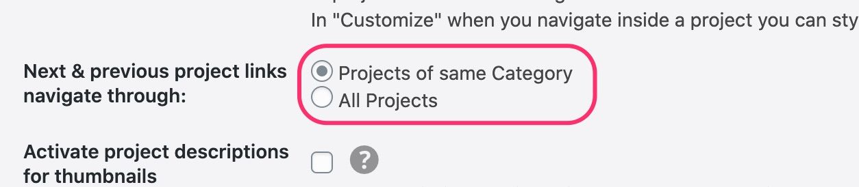 Lay_Options_‹United_States_of_Error—_WordPress.jpg