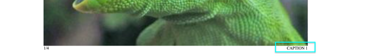 Screen Shot 2020-12-10 at 11.35.11 PM.png