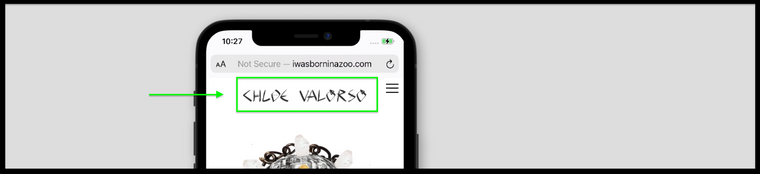 Screen Shot 2021-05-21 at 10.27.11 AM.png