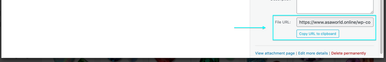 Screen Shot 2021-09-21 at 12.34.47 PM.png