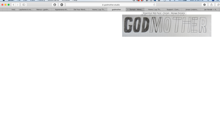 Screen Shot 2021-11-22 at 2.56.20 PM.png