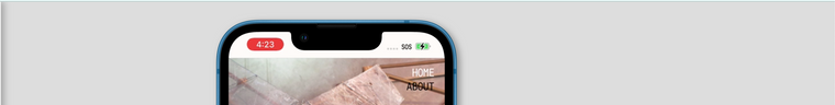 Screen Shot 2022-04-16 at 4.22.57 PM.png
