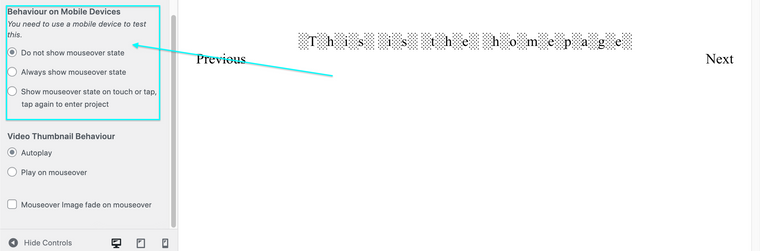 Screen Shot 2022-06-07 at 9.10.51 AM.png