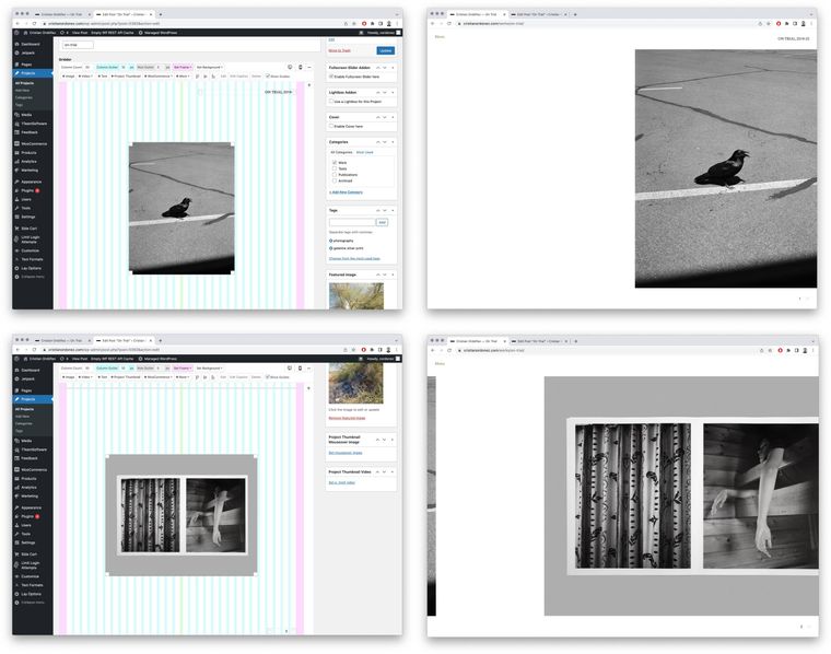 laytheme-issue.jpg