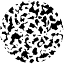 omoore